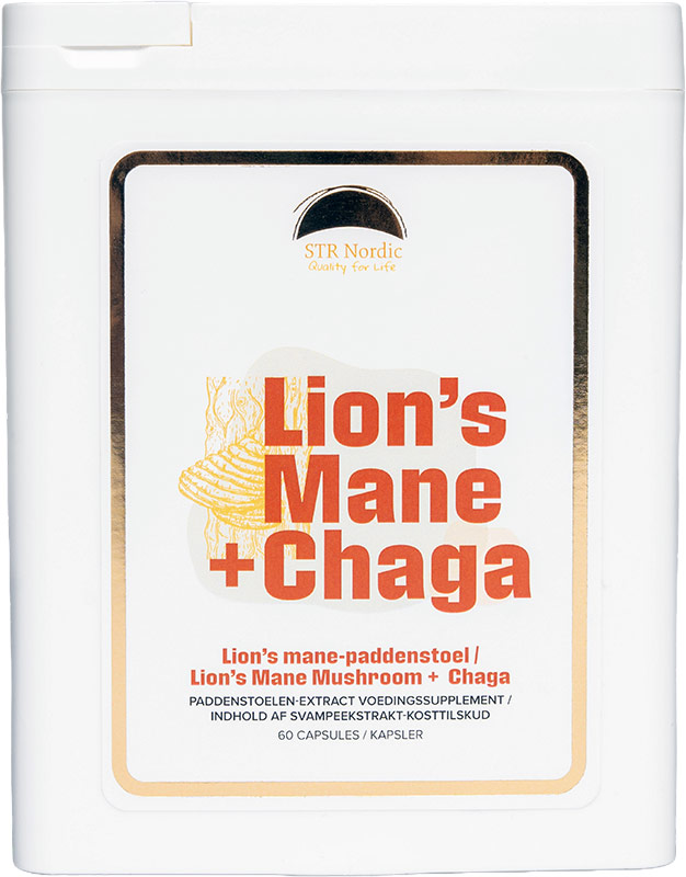 Lion’s Mane + Chaga